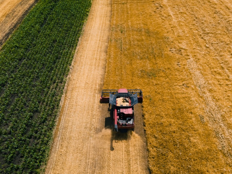 Market Research for Food Farming & Food Security