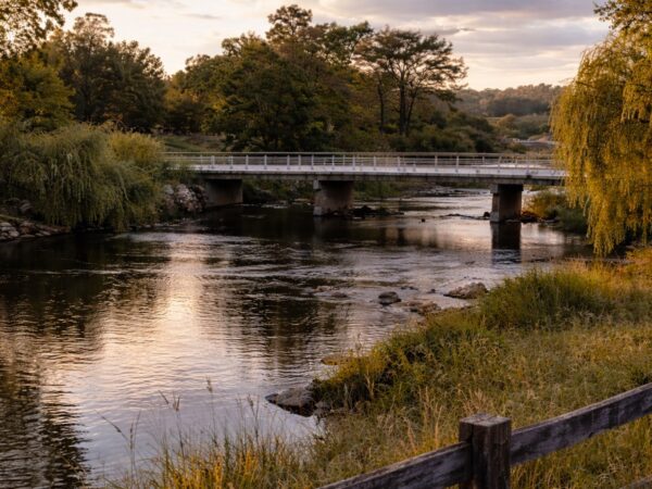 Bendemeer Solar Farm Community Survey